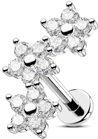 YUZHEDM Piercing Tragus Mujer Hecho de Acero de Titanio Pendientes Piercing Helix Oreja Rosca Interna Tragus Con Circonita para Hombres Mujeres Ideal Para el día Fiestas