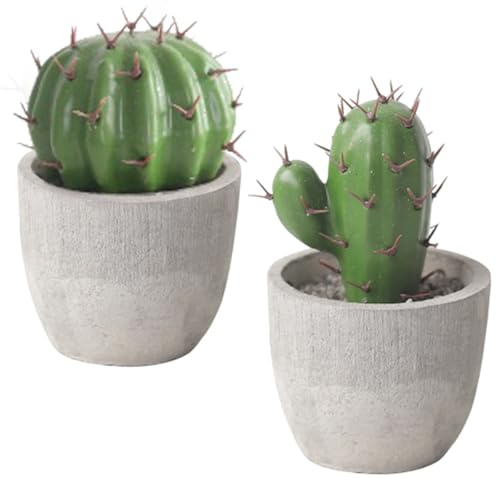 Housoutil Cactus Diseño en Macetas de Plástico Compacto de Realista y Cemento Artificiales para 2 Piezas Mini Decoración Escritorio Oficina Interior