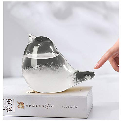 BIOBEY Storm Glass Weather Predictor,Weather Forecaster Barometer Bird Shape Crystal Desktop Decor Home Weather Stations for Home Office Birthday Valentines (Bird)