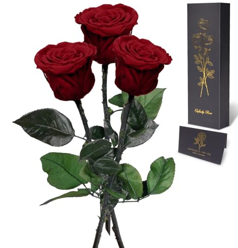 Yamonic Ewige Rose Geschenke für Frauen,Infinity Rose mit Stiel Geburtstagsgeschenk für Frauen,Echte Rose in Geschenkbox Geschenke für Mama,Konservierte Blume zum Weihnachten, Deko Geschenk, 3 Rosen