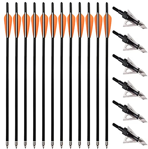PMSM 12 Stück Carbon Armbrustbolzen 20 Zoll Armbrustpfeile und 6 Stück Armbrust Jagdspitzen kit,Armbrust Carbonpfeile für Jagd und Zielbogenschießen Schießen