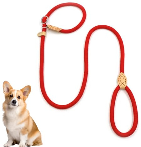 VJUYSW Laisse Chien Corde 1.3cm x 150cm Laisse pour Chien en Nylon avec Poignée Rembourrée Laisse Coulissante Aux Chiot, Petits, Moyens et Gros Chiens