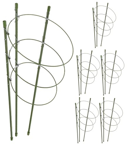 TOYZFRIENDY 6 Juegos Jaulas para Tomates de Plástico Ligero Soporte Redondo para Plantas Trepadoras Enrejado para Macetas y Jardinería Balcón
