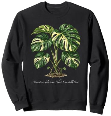 Monstera Thai Constellation plant illustration Sweatshirt