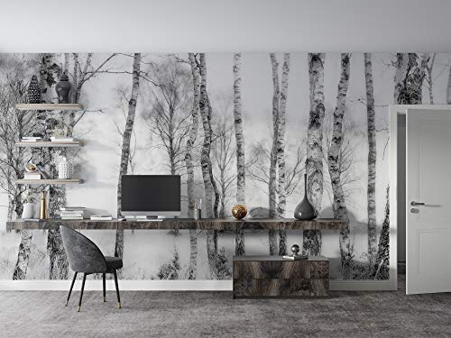 SILK ROAD EU™ Papier Peint Soie Panoramique 3D Bouleau Esquisser, Poster Geant Mural Personnalisé, 350 × 250cm, Thème Forêt et arbres, pour Salon Chambre Chambre restaurant Décoration Murale