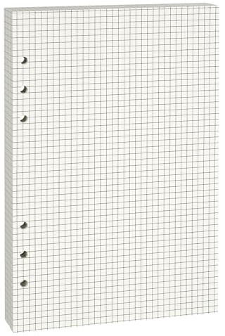 Lidwot A5-Nachfüllpapier, kariert, 100 g/m², dick, beige, keine Blätter (80 Stück), vorgelocht, passend für A5-Ringbücher mit 6 Ringen, für Büro, Schule und Lehrer, doppelseitig ohne Durchlaufen