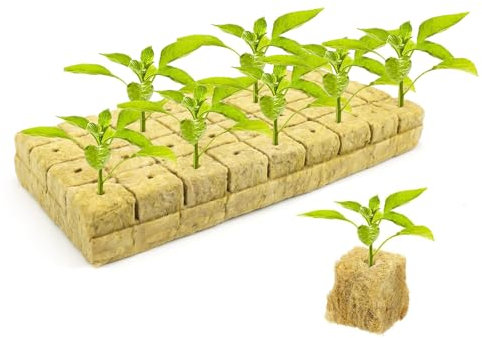 MYLERCT Cubos Lana Roca 36 Grid Cubos de Cultivo, 30 x 30 x 40 mm Lana de Roca, Herramienta Cultivo Sin Suelo, Crecimiento Plántulas Plantas, Hidropónicos Rockwool Grow para Esquejes Plantación
