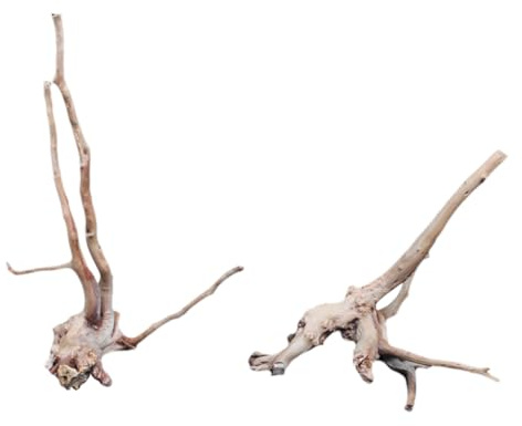 YRYRYW Natural Wood Rhododendron Tree Roots for Outdoor Decor Aquarium Fish Tank Household faucets