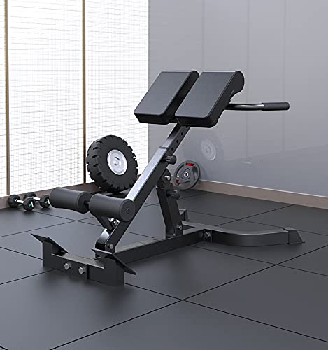 Aioneer Hyperextension-Römischer Stuhl für das Fitnessstudio zu Hause, 5-stufig verstellbare Hantelbank-Bauchtrainer, klappbare Rückenstreckbank für Bauchmuskeltraining