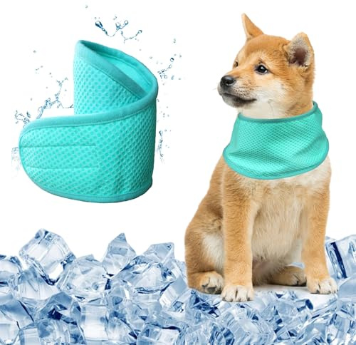 KASESSS Kühltuch Hund Halstuch Kühlend, Kühlhalsband für Hunde, Halstuch Hund, Hundehalstuch im Sommer, Atmungsaktiv Kühlung Hundehalstuch für Ausruhen, Schlafen, Sommerspaziergang Spielen, M, Grün