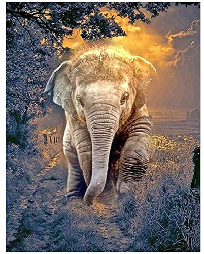 Square Diamond Painting Bilder Erwachsene 40x50 cm Quadratische Steine Diamant Painting Bilder Groß Tiere Elefant Sonnenuntergang Diamant Malerei kits Kreuzstich Mosaik Aufkleber Gemälde Puzzle