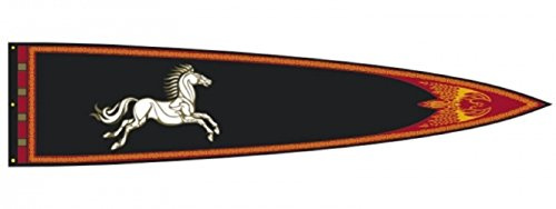 Herr der Ringe - König Theoden Banner - 45 x 200 cm