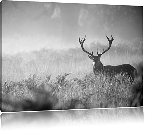 Pixxprint Rotwild Hirsch im Nebel Kunst B&W, Größe: 120x80cm, Leinwandbild, fertig gespannt, Wandbild, Dekoration, Kunstdruck, kein Poster