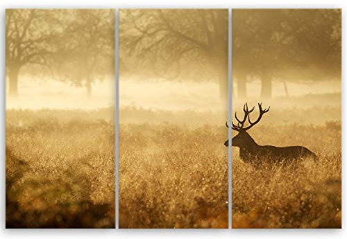 ge Bildet Bild auf Leinwand | Landschaftsbilder - Hirsch in der Natur N in 90x60 cm mehrteilig als Wandbild | Wand-deko Dekoration Wohnung modern Bilder | 2212