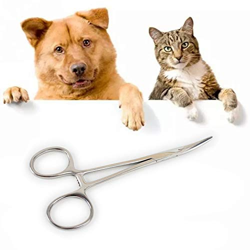 YODOOLTLY Pinzas para mascotas, de acero inoxidable, pinzas para hemostáticas para mascotas, tijeras para orejas y cabello, pinzas para limpieza de orejas, pinzas para perros y gatos (curvadas)