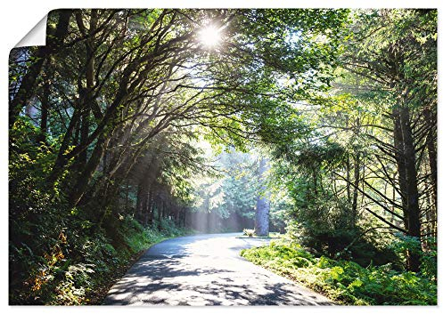 ARTLAND Wanddeko Poster & Kunstdrucke Wandposter 100x70 cm Bild ohne Rahmen Querformat Landschaft Wald Natur Bäume Frühling Sonne U1TD