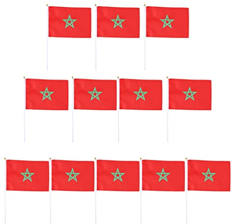 MagiDeal 12pcs Mini Drapeau Flag Main avec Hampe Félicitation 14x 21cm - Maroc