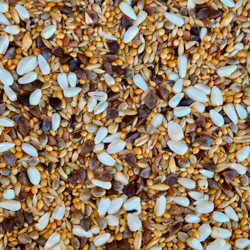 Supravit Vogelfutter Großsittiche Spezial 5kg - leicht bekömmliches Sittich Futter ohne Sonnenblumenkerne I schmackhaftes Alleinfutter für Ziervögel & Papageien