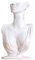 Hellery Mannequin Buste, Collier Boucle d'oreille Mannequin Tête Buste, Bijoux Présentoir Fait en Résine 20x7x32cm - Blanc