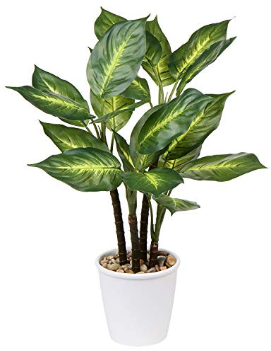 Briful 63CM Kunstpflanze Groß Dieffenbachia Camille Künstliche Tropische Kunstpflanze im Topf für Hausgarten Büro Dekoration
