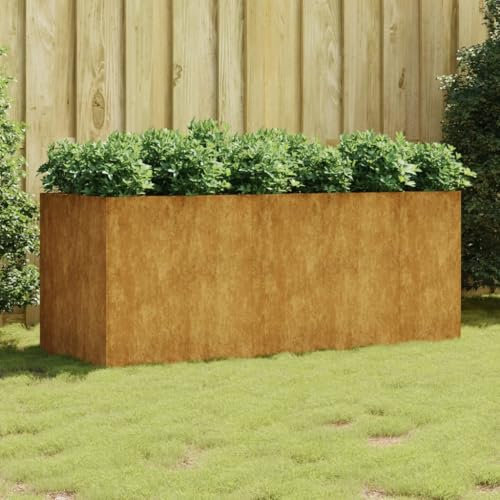Iiaky Lit surélevé de Jardin 200x80x80 cm Acier corten,Bordure Pierre,Kit Gabion,Gabion Jardiniere