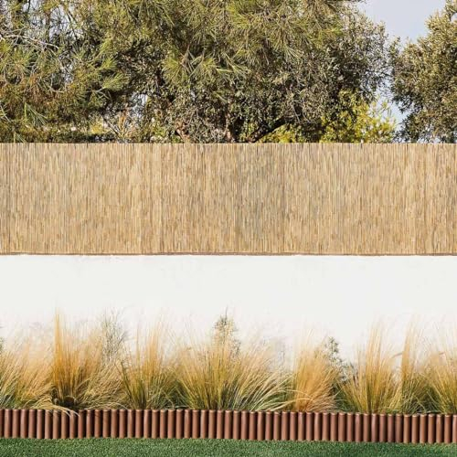 Nortene Cañizo Entero Varilla Media Reedcane Plus Natural 2X5 M