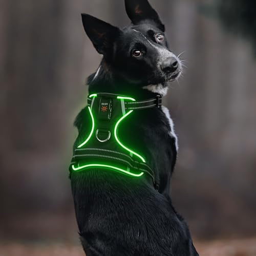 Leuchtendes Hundegeschirr, Colaseeme Light Hundeweste mit reflektierenden Streifen und verstellbarem Geschirr, LED-Hundelicht wiederaufladbar für kleine, mittelgroße und große Hunde (RGB,M)