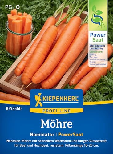 Kiepenkerl Möhrensamen Nominator 1043560, Gemüsesaat | Rübenlänge zwischen 16 und 20 cm, Inhalt für 4-6 laufende Meter