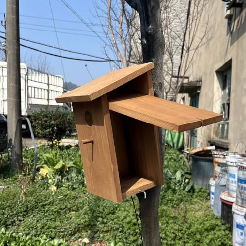 Mangeoire à oiseaux à peindre avec tube en métal, bois épais, kit de construction - Nichoir pour oiseaux pour l'extérieur - Résistant aux intempéries - Nichoir pour hirondelle, roi de clôture