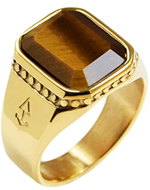 Rock and Steel Herren Zeus Ring Siegelring mit Tigerauge Stein, Gold Edelstahl, Tigerauge Ring (58 (18.5 mm))