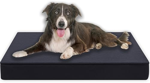 MyBestBuddy Hundekissen Premium orthopädisch mit 8 cm Vollschaum-Kern grau 90x70 cm XL, Hundematte mit Stoffbezug, 40°C waschbar, allergikerfreundlich - Hundebett für große Hunde, 90 x 70 cm