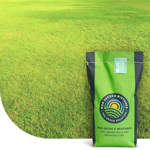 Dry & Strong Trockenrasen: SEHR GUT getestet | 5KG-250m2 | Für sonnige und trockene Standorte | Premiumsaatgut: Dürreresistent und robust | Für Spiel- und Sportrasen geeignet | MRS Seeds