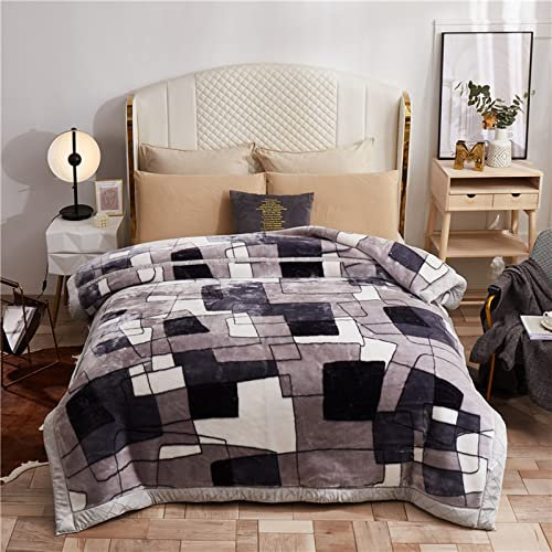XZZHSM Warme Gewichtsdecke für den Winter, Kingsize, koreanische Nerzdecken, 2-lagige, wendbare Raschel-Bettdecke für Bett und Couch, 200 x 230 cm, 4 kg