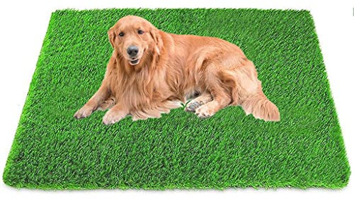 Pavimentazione Erba Sintetica Tappetino in Erba Artificiale per Cani, Adatto per Erba di Addestramento della Toilette per Cani/Gatti, Facile da Pulire (Size : 80x100cm)