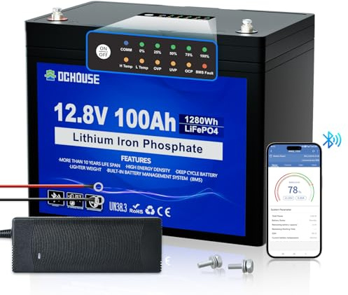 DCHOUSE 12V 100Ah LiFePO4 Bluetooth Batterie avec et indicateurs d'état SOC, chargeur 10A, BMS intelligent Bluetooth 100A, jusqu'à 15 000 cycles pour camping-car, bateau, énergie solaire hors réseau