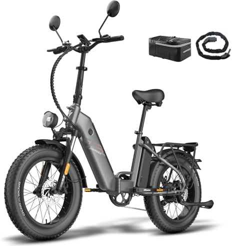 Fafrees FF20 Polar E-Bike Klapprad Elektrofahrrad 20 * 4.0 Zoll, 250W 25kmh Fatbike Doppelbatterie 24Ah/26.8Ah, E Bike Herren Reichweite bis 110-170km, Mountain E-Fahrrad Damen (24Ah Akku, Schwarz)