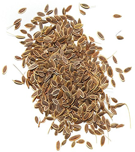 Whole Dill Seeds A* Quality Free UK P&P (100g)