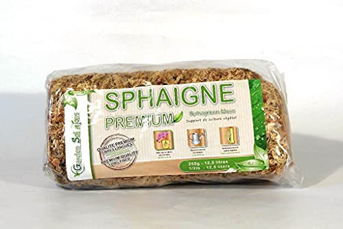 Sphagnum para Bonsai Chileno 250 gr.