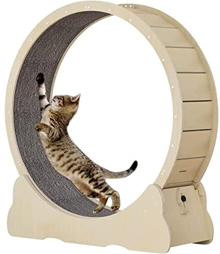 Katzenlaufrad, leises Laufrad Laufband für Indoor-Katzen, Sportspielzeug, groß mit Sicherungsstift und Teppich, Trainingsgerät Katzen, Schwarz-L