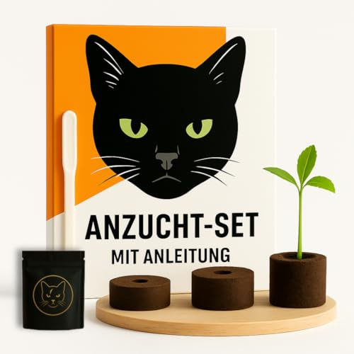 HOMEKING Kit de cultivo para principiantes y profesionales – Juego completo con jiffy, pipeta, instrucciones y accesorios, ideal para invernaderos interiores, alféizar de ventana y caja de cultivo o