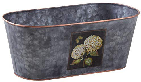 AUBRY GASPARD - Corbeille Ovale en Métal Patiné Gris Hortensia - Longueur 32 cm - Profondeur 16 cm - Hauteur 13 cm - Poids 0.31 kg - Design Élégant - Idéale pour Plantes et Fleurs en Extérieur