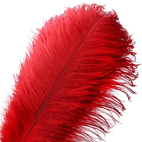 VoilaLove 10 pcs Plume d'Autruche Naturel Artisanat 16-18 Pouce (40-45 cm) Plume pour Centres de Mariage Décoration de La Maison (Rouge)