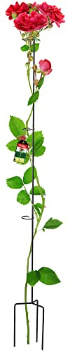 KADAX Rankhilfe aus Stahl, freistehende Pflanzenstütze für Rosen, Kletterpflanzen, Efeu, Garten, wetterfeste Kletterhilfe, Blumenstütze, Strauchstütze, Staudenhalter, schwarz (Höhe: 140 cm)