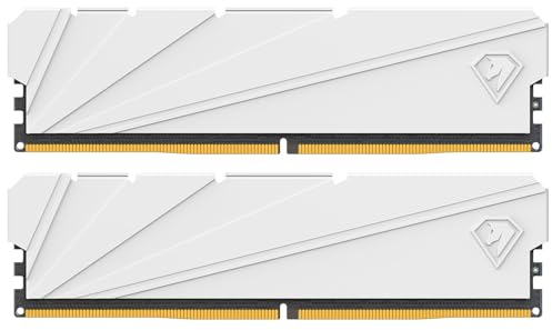 Netac DDR4 3200MHz 32GB (2 X 16GB) 2-in-1 RAM Computer Desktop Memory DRAM Kit C16 XPM2.0 Gaming Memory 32GB with Heat Sink, for Computer Game White