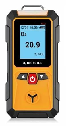 YXZKJZJ Détecteur de gaz Oxygène/O2/Carbone/Monoxyde/CO/H2S Analyseur de gaz Combustible Détecteur de Fuite Moniteur de qualité de l'air Lecture en Temps réel(GO2)