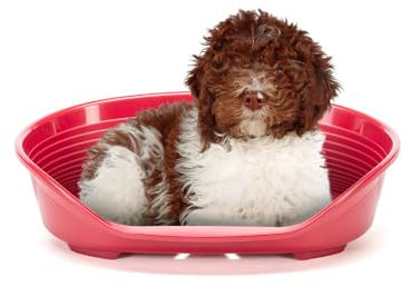 Ferplast Panier Chien Panier Chat 100% en Plastique, Respirante et Antidérapante Siesta Deluxe, 82 x 59,5 x 25 cm, Bordeaux