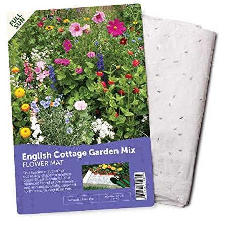 BloomingBulb Tapis de semences – Facile à Planter et à cultiver des graines de Jardin – Crée Un Jardin de Fleurs parfumé et Vibrant – Parterres de Fleurs Personnalisables – Tapis de Jardin Anglais