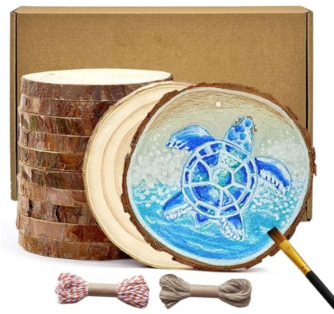 BIOGRAT Holzscheiben 10cm mit Loch, 12 Stücke (10-11 cm Durchmesser 1 cm Dicke) Baumscheiben zum Basteln mit 2 Schnüren für Weihnachtsdeko, Kunst, Handwerk, DIY