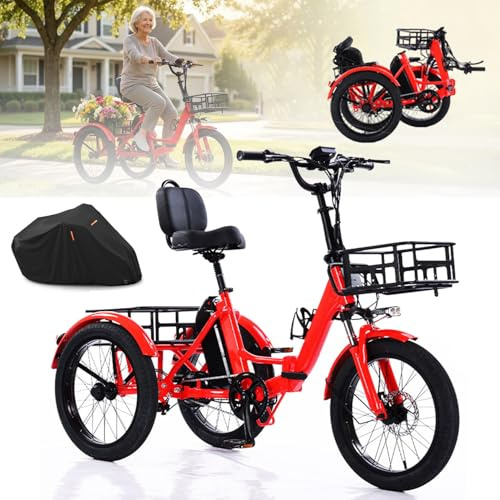 ZAYMGPD 20 Pollici Bicicletta Elettrica a 3 Ruote per Adulti,Triciclo Elettrico A 3 Ruote,2 Cestini Portaoggetti | Sedile Confortevole Con Schienale | Triciclo elettrico per adulti con telo copribici