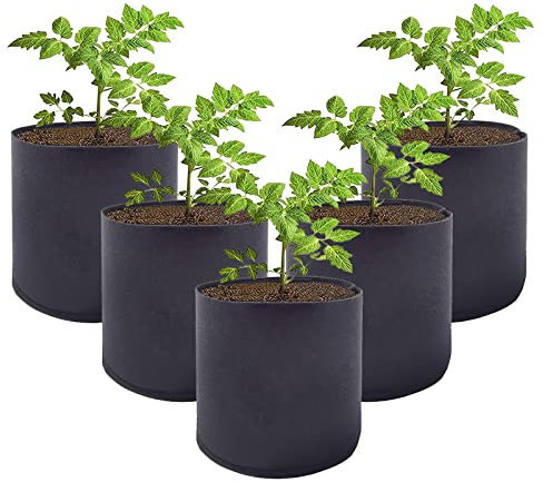 Pflanztaschen,Pflanzen Tasche in Garden,Pflanzsack Aus Vliesstoff,Pflanztaschen Indoor,Pflanztasche Rund,Pflanzsack Nachhaltig,Pflanzsack Kartoffeln,Tomaten (1-Gallone (5) -- kein Griff, Schwarz)